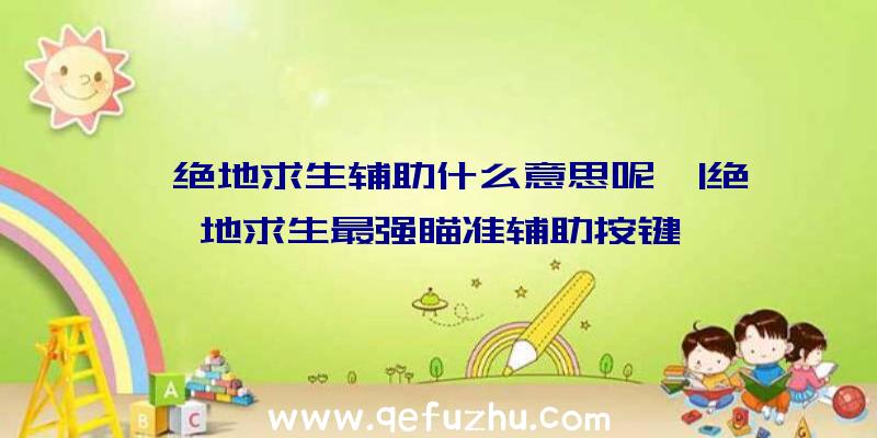 「绝地求生辅助什么意思呢」|绝地求生最强瞄准辅助按键